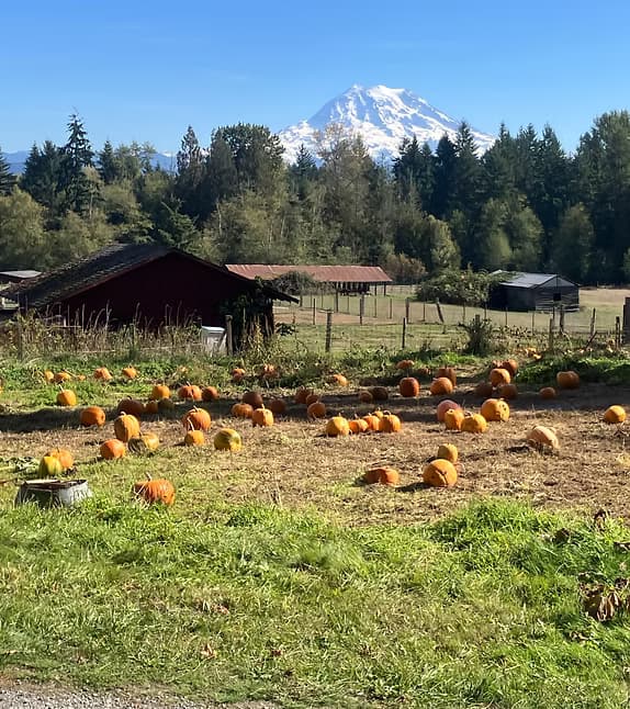 Productive edible landscape project in the Pacific Northwest
